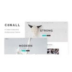 Conall – Clean Multipurpose Theme