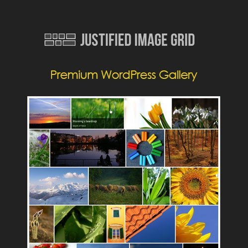 Justified-Image-Grid.jpeg Justified Image Grid - Image 1