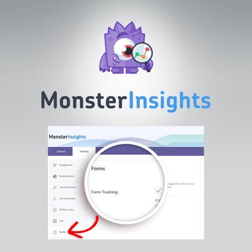 MonsterInsights-Forms-Tracking-Addon.jpg MonsterInsights – Forms Tracking Addon - Image 1