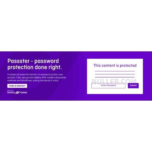 Passster-–-Password-Protection.jpg Passster Premium - Image 1