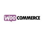 Google Tag Manager for WooCommerce PRO