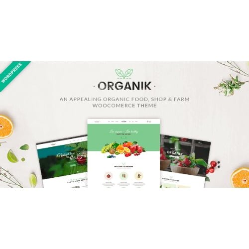 Organik – Organic Food Store WordPress Theme
